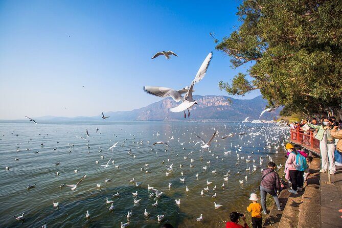 2 Days Kunming City Tour with Professional Private Tour Guide - Authentic Experiences and Hidden Gems