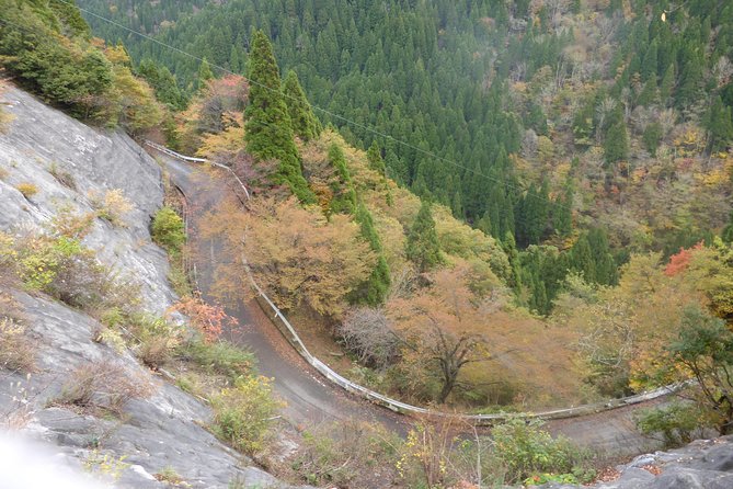 2 Days Kyoto Miyama Bike Tour Self Guided - Cancellation Policy