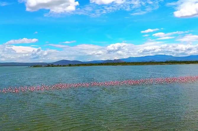 2 Days Lake Elementaita National Park Safari - Optional Activities