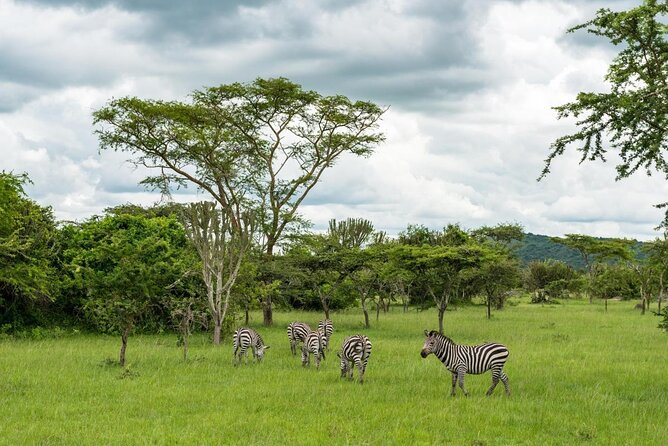 2 Days Lake Mburo Safaris - Good To Know
