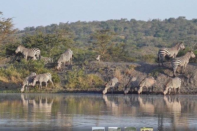 2 Days Lake Mburo Safaris - Pricing and Guarantee