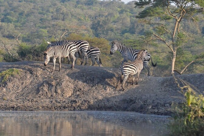 2 Days Lake Mburo Safaris - Booking Confirmation