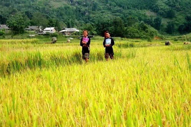 2 Days Light Trekking Around Sapa Town by Overnight Train - Day 2: Scenic Trekking in Sapa