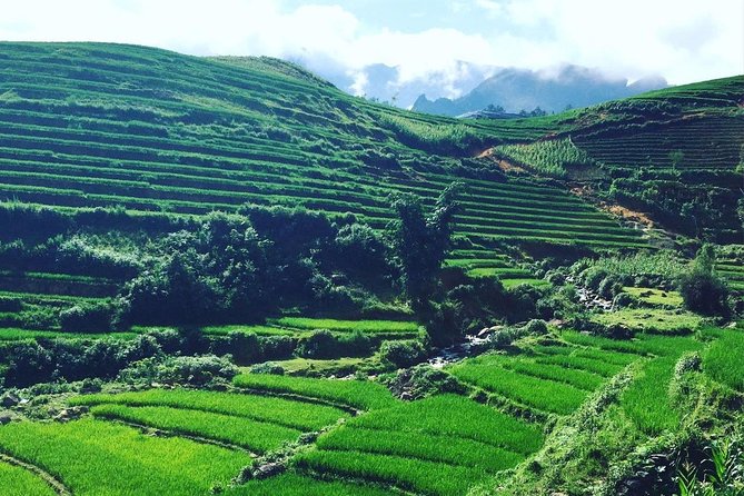 2 Days Light Trekking Around Sapa Town by Overnight Train - Return to Hanoi by Overnight Train
