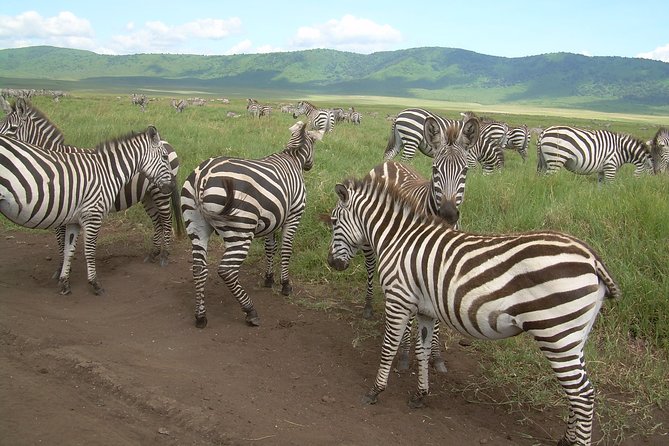 2 Days Lodge Safari. - Frequently Asked Questions