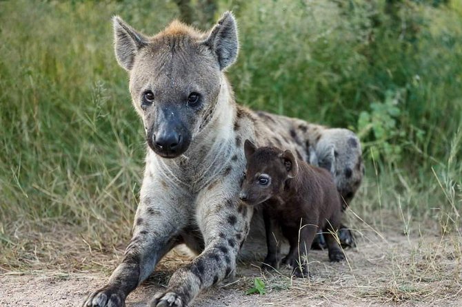 2 Days Lodge Safari – Tarangire & Ngorongoro Crater - Good To Know