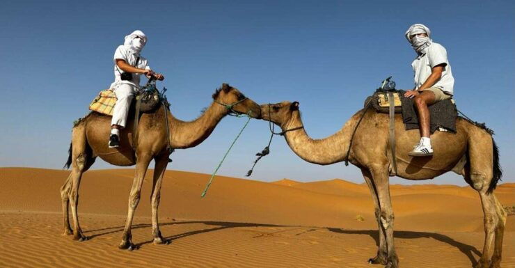 2 Days Luxury Desert Tour From Fes & Back to Fes - Booking Information