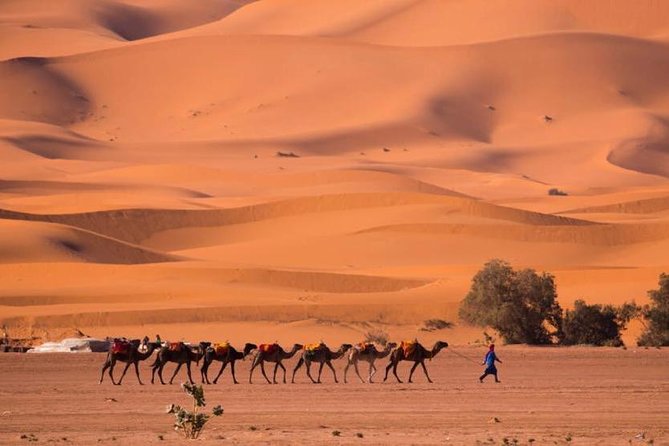 2 Days Luxury Desert Tour From Fes - Inclusions