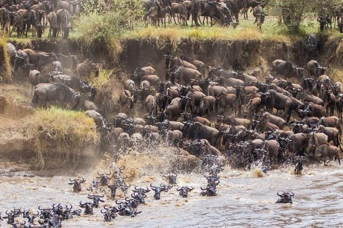2 Days Maasai Mara Joining Safari - Trip Inclusions