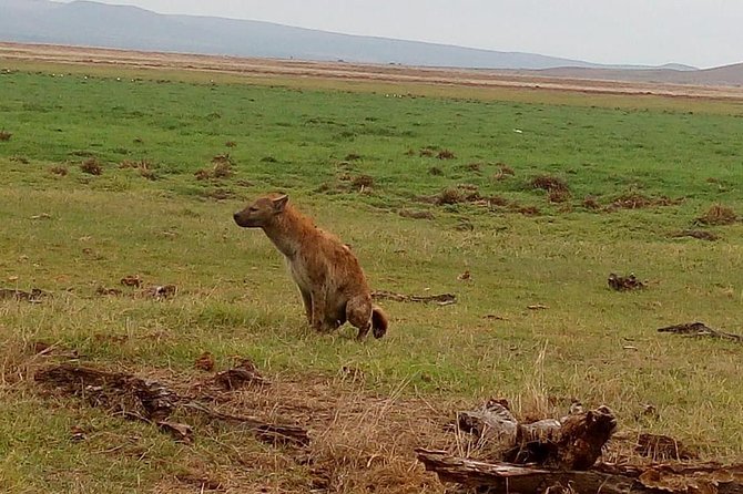 2 Days Maasai Mara Joining Safari - Cancellation Policy