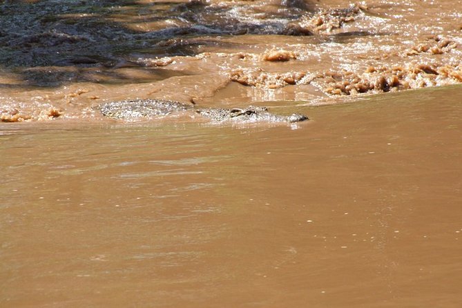 2 Days Masai Mara by Air Starting From Diani Beach. - Departure Time and Logistics