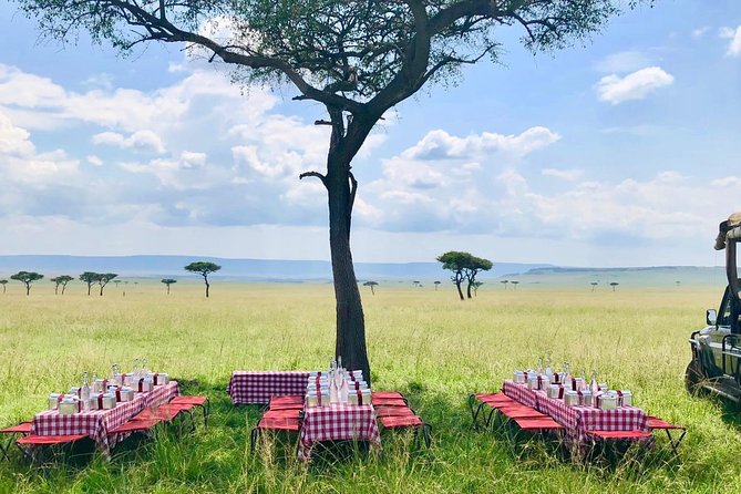 2 Days Masai Mara National Reserve Safari - Transportation Logistics