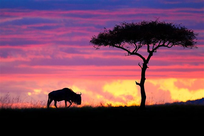 2 Days Masai Mara National Reserve Safari - Packing Essentials