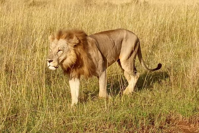 2 Days Masai Mara Private Safari From Nairobi - Booking and Confirmation Instructions