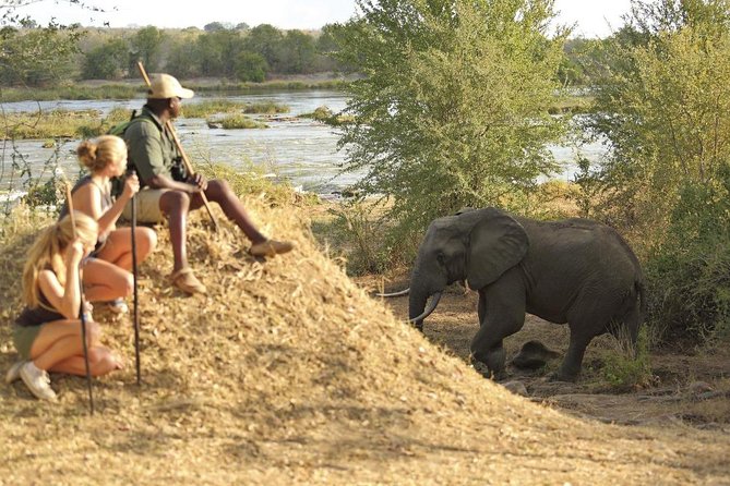 2 Days Morogoro- Selous Game Reserve(Nyerere National Park) - Destination Overview