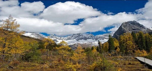 2 Days Mt. Siguniang+Wolong Panda Tour From Chengdu - Additional Fees and Return Details