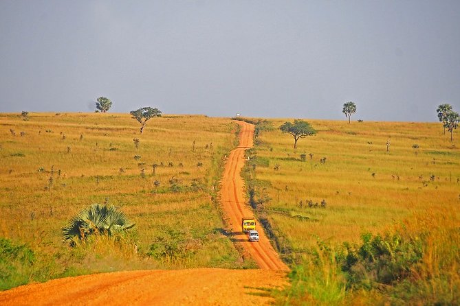 2 Days Murchison Falls National Park - Day 2: Morning Game Drive