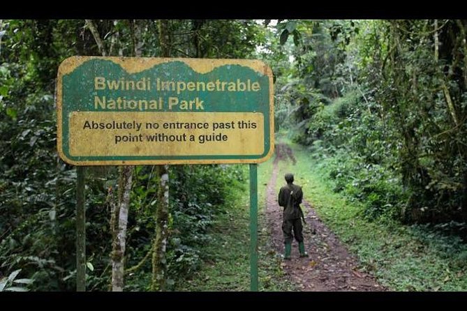 2 Days Murchison Falls Safari - Good To Know
