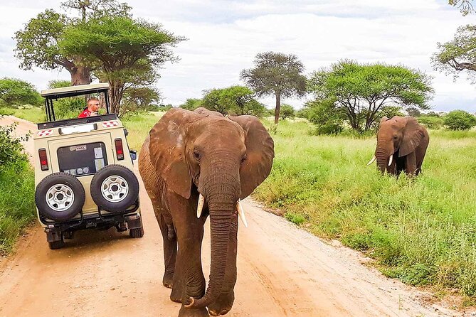 2 Days Ngutuni Conservancy Safari From Mombasa - Good To Know