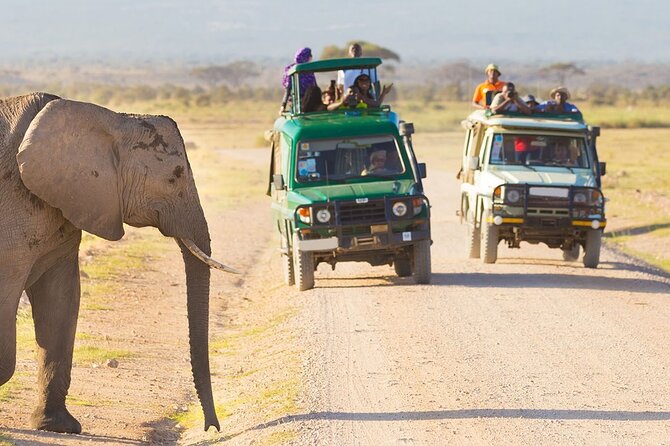 2 Days Ngutuni Conservancy Safari From Mombasa - Start Time and Cancellation