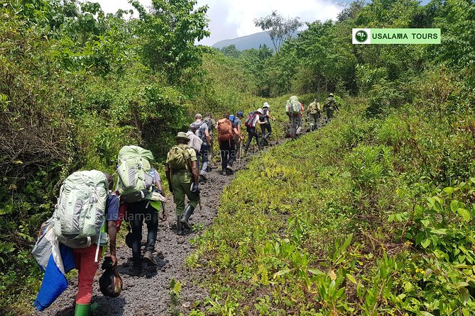 2 Days Nyiragongo Hike - Booking and Cancellation Policy