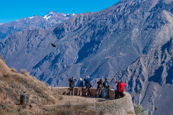 2 Days of Natural Experience in the Colca Canyon - Natural Wonders of the Colca Canyon