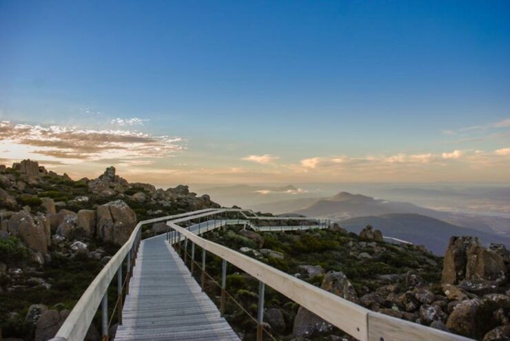 2 Days of Tasmania's Best - Wildlife Encounters and Salamanca Market