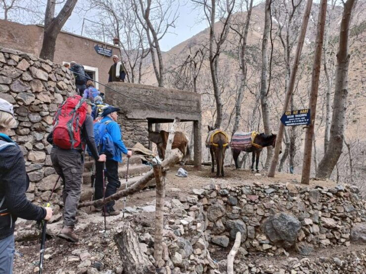 2 Days One Night Hiking in the Atlas Mountains and Valleys - Accommodation and Hospitality Experience