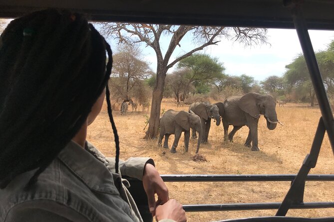 2 Days One Night Private Tour in Tarangire National Park - Directions