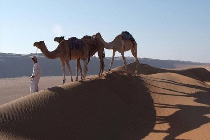 2 Days Package TOUR JAMILA - Inclusions and Highlights
