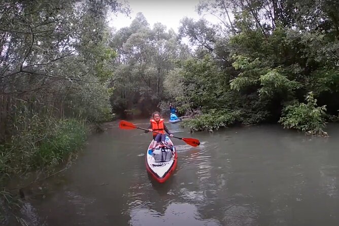 2 Days Paddling in the Labyrinth of Interior Danube Delta - Precautions and Recommendations