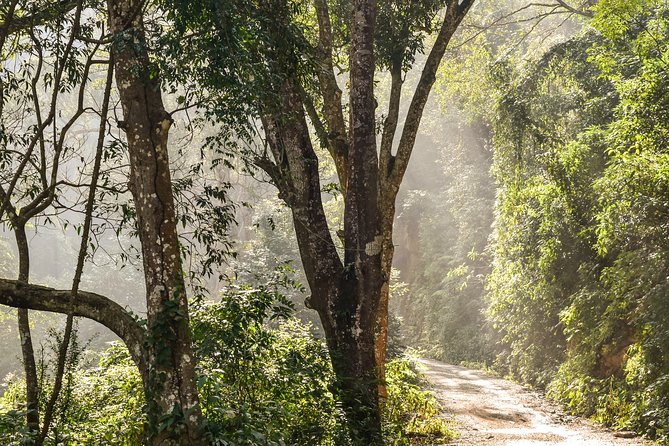 2 Days Palpa-Tansen Hill Station Tour From Pokhara - Day 2