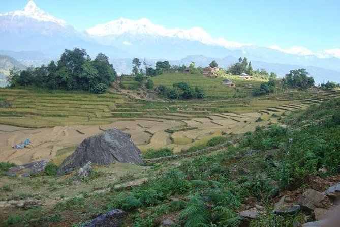 2 Days Panchase Hill Trek From Pokhara - Day 1: Pokhara - Bhadaure - Panchase Bhanjyang (1800 Meters)