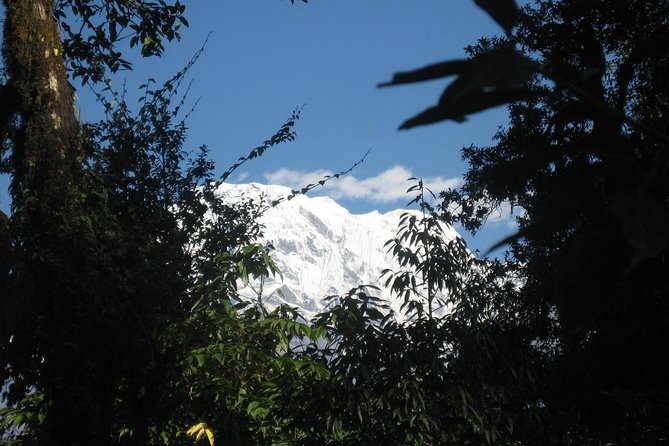 2 Days Panchase Hill Trekking - Itinerary Overview