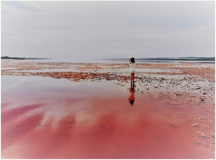 2 Days Pink Lake and Kalbarri Guided Tour with Optional Activities - At a glance: the trip’s strongest points