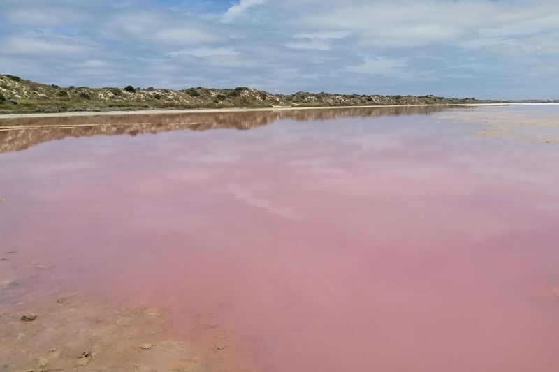 2 Days Pink Lake and Kalbarri Guided Tour with Optional Activities - Leaving Perth for Lancelin and Cervantes