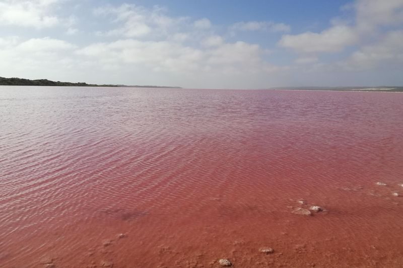 2 Days Pink Lake and Kalbarri Guided Tour with Optional Activities - What the small-group format means on the road