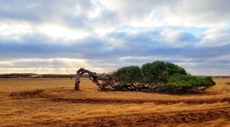 2 Days Pink Lake Western Australia Tour - What the drive means for your comfort