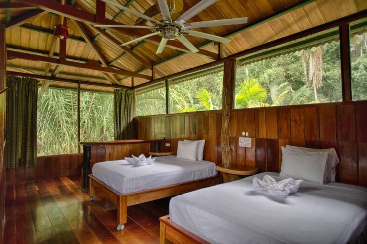 2 Days– Premium Tambopata Jungle Tour - Booking Information