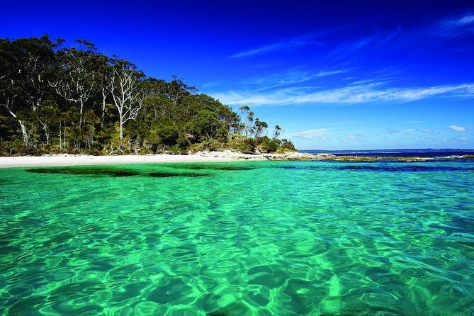 2 Days Private Adventure Tour From Sydney to South Coast - Common Questions