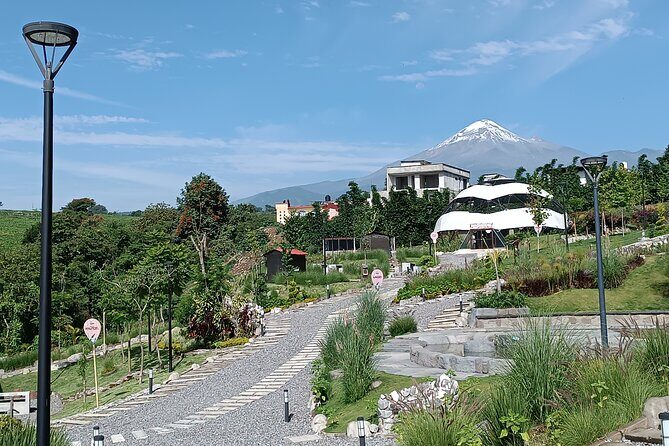 2 Days Private Food Tour in Coscomatepec Mexico - Who Will Love This Tour?