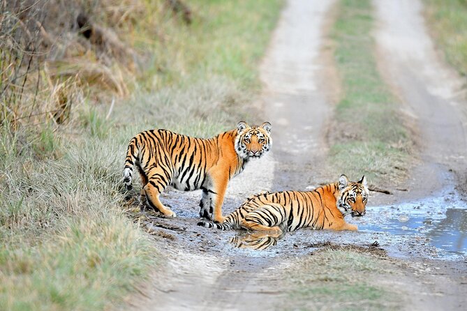 2 Days Private Jaipur & Ranthambore Tour (All Inclusive) - Additional Information