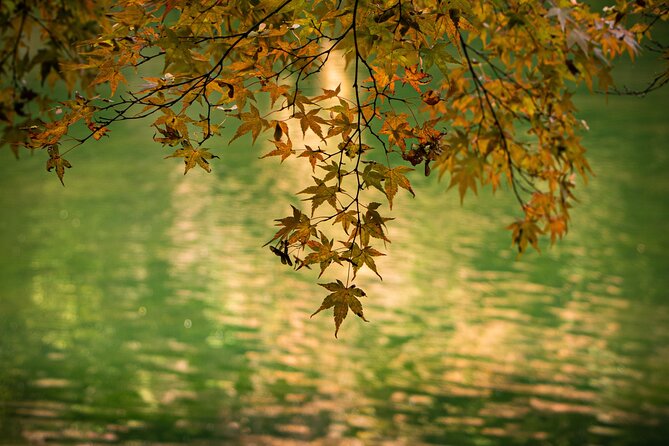 2 Days Private Luxury Zen Tour Temple Stay - Cancellation Policy and Support