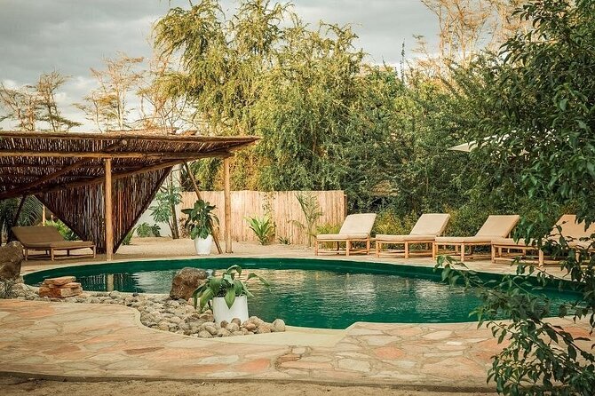 2-Days Private Midrange Safari From and to Zanzibar - Wildlife Encounters