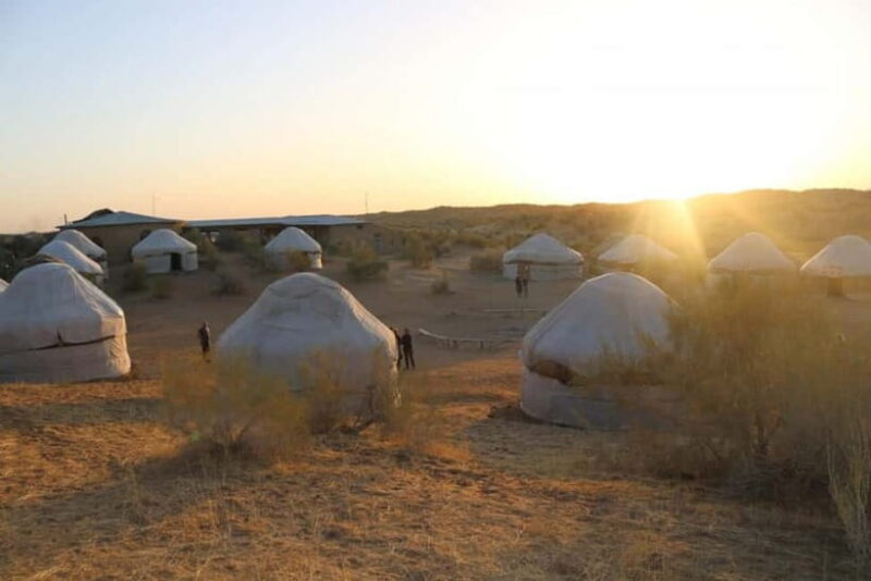 2 Days Private Safari Tour from Bukhara - The Sum Up: A Worthwhile Uzbek Experience for Curious Travelers