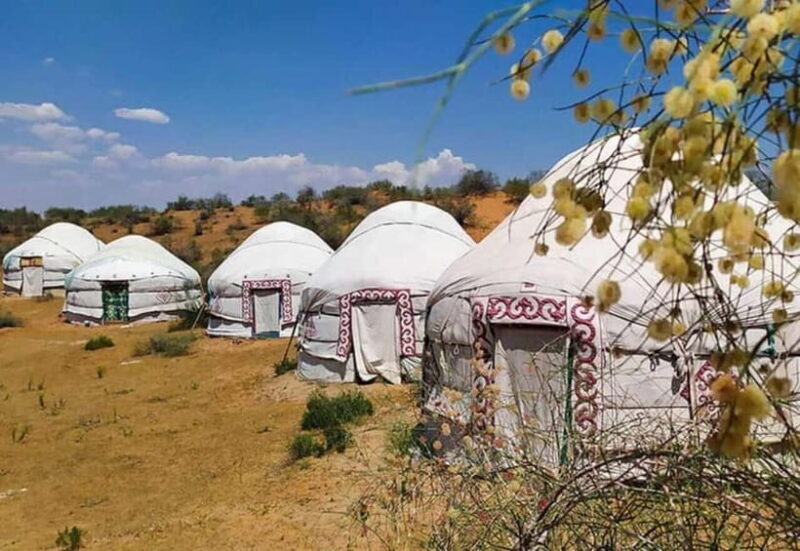 2 Days Private Safari Tour from Bukhara - Authentic Experiences That Truly Stand Out  