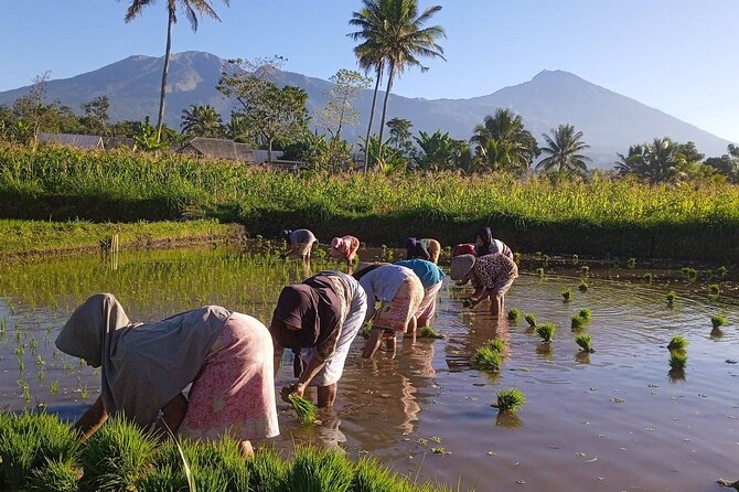 2 Days Private Tetebatu and Rinjani Nature Tour in Lombok - Tour Itinerary