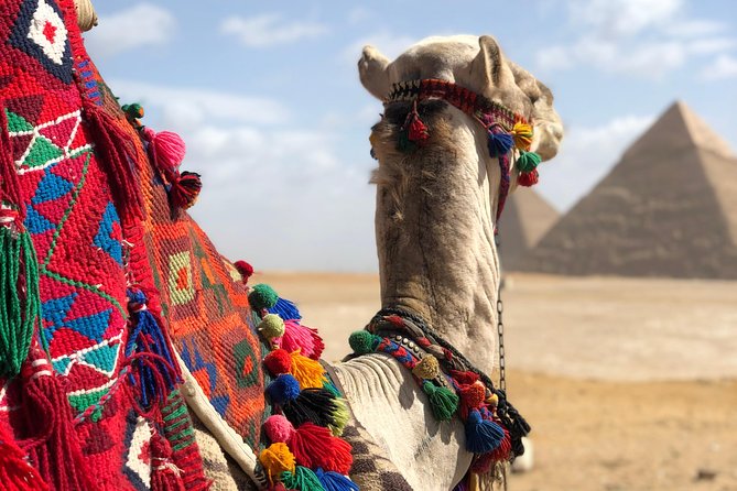 2 Days Private Tour All Inclusive, Cairo and Giza Attractions - Reviews