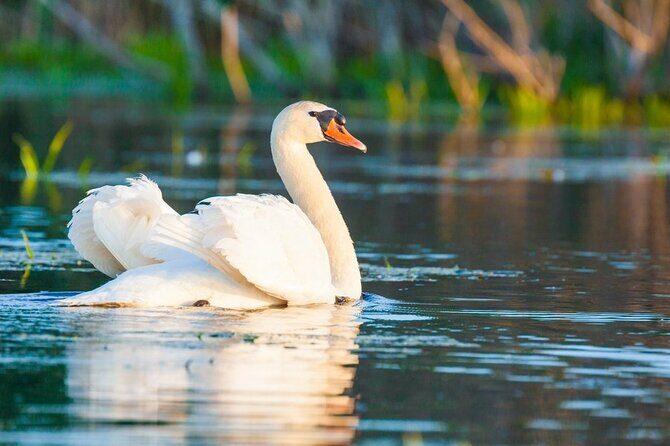 2 Days Private Tour from Bucharest to Black See and Danube Delta - Final Thoughts