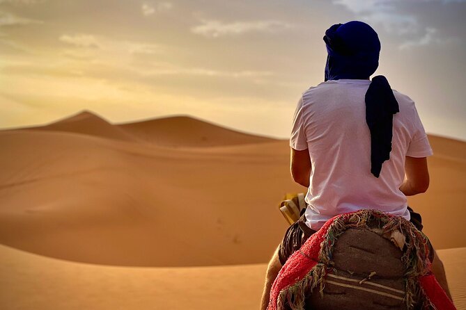 2 Days Private Tour From Fes to the Desert - Pickup and Transportation Details